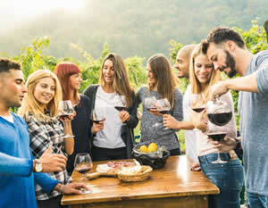 Winery Bus Tour to the Hill Country with Live Music, & BBQ